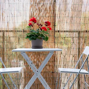 Mondello Cottage Appartement